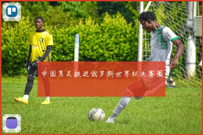 中国男足挺进俄罗斯世界杯决赛圈