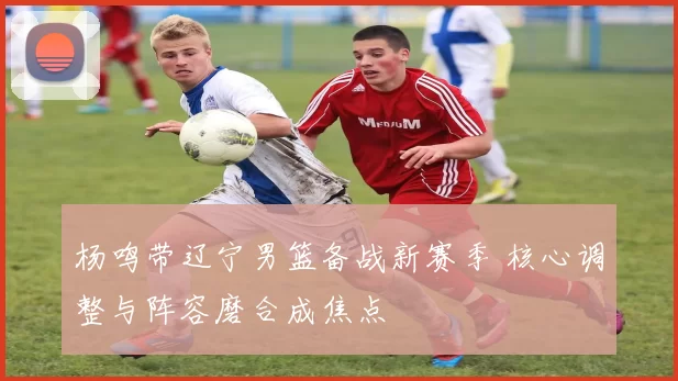 杨鸣带辽宁男篮备战新赛季 核心调整与阵容磨合成焦点