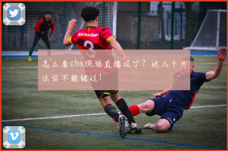 怎么看cba现场直播辽宁？这几个方法你不能错过！